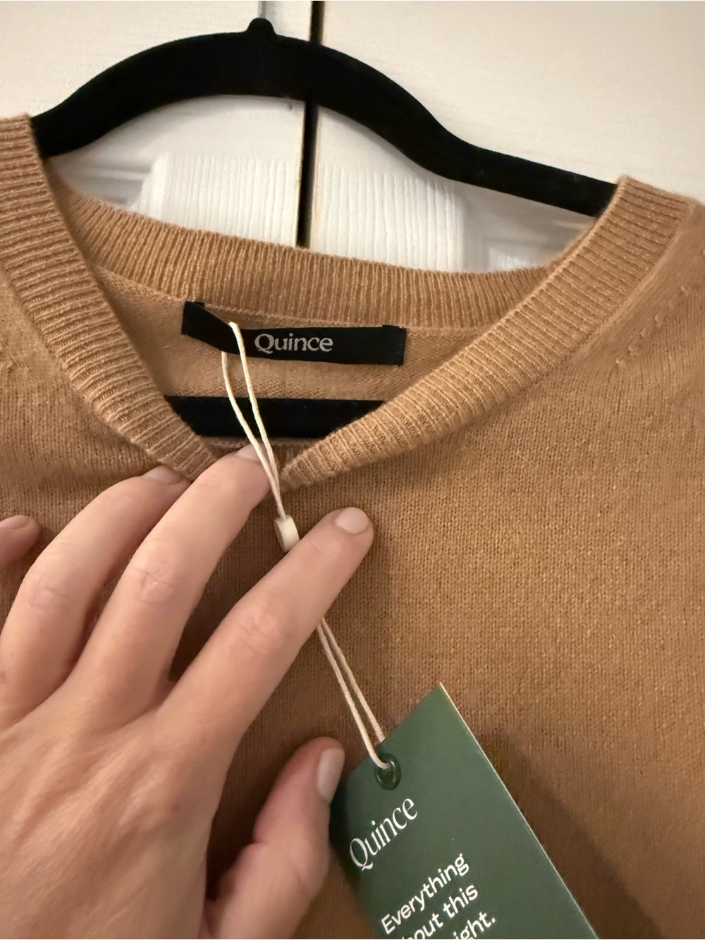 Quince Crewneck Cashmere Top - Camel - Picture 3 of 5